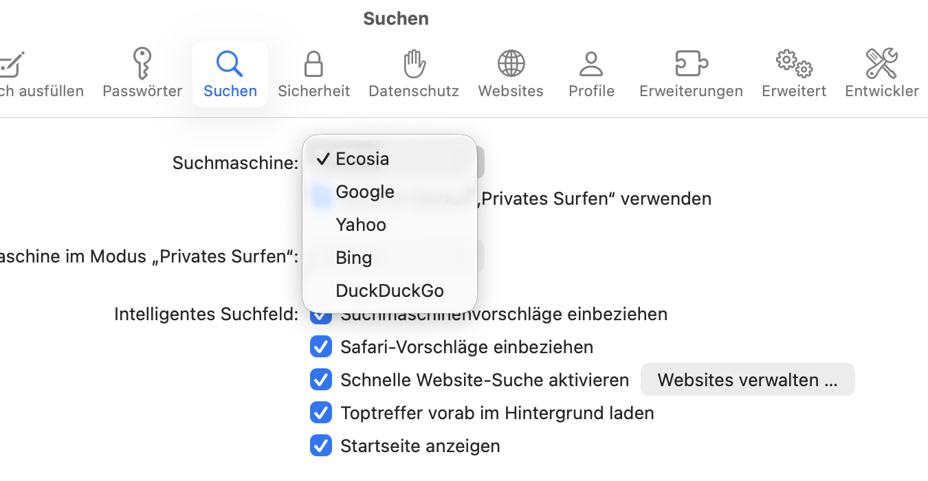 Safari-Einstellungen zum Wechseln der Standardsuchmaschine.